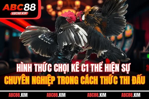 Hình thức chọi kê C1 thể hiện sự chuyên nghiệp trong cách thức thi đấu Hình thức chọi kê C1 thể hiện sự chuyên nghiệp trong cách thức thi đấu