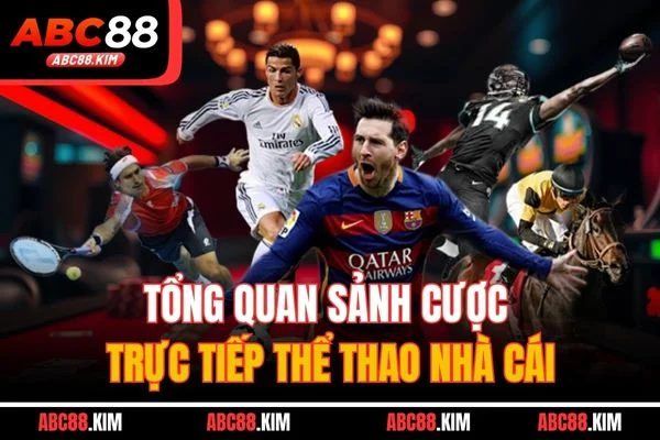 Tổng quan sảnh cược trực tiếp thể thao nhà cái Tổng quan sảnh cược trực tiếp thể thao nhà cái