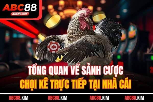 Tổng quan về sảnh cược chọi kê trực tiếp tại nhà cái Tổng quan về sảnh cược chọi kê trực tiếp tại nhà cái