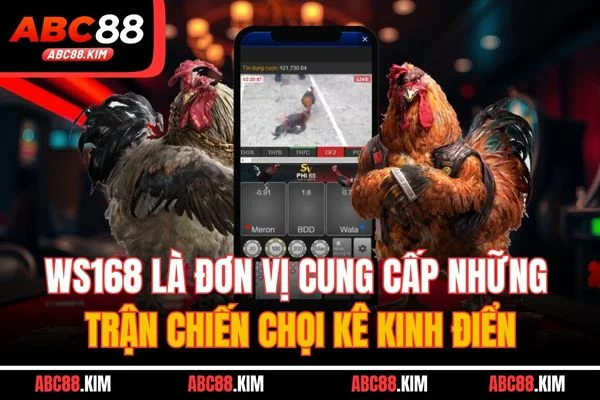 WS168 là đơn vị cung cấp những trận chiến chọi kê kinh điển WS168 là đơn vị cung cấp những trận chiến chọi kê kinh điển