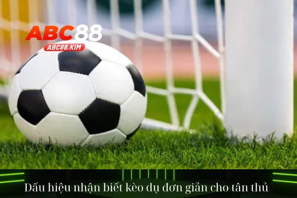 Dấu hiệu nhận biết kèo dụ đơn giản cho tân thủ